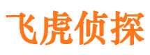 明山市侦探公司